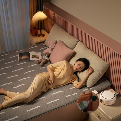 Custom Multifunctional  Cooling &amp; Heating Dual Temperature Intelligent Water Heating Mattress