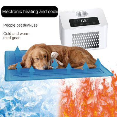 Electric Dog & Cat Cooling Mat PTC Heating Cooling System Eco-friendly PVC Material Overheat Protection All-season Use 60x45cm