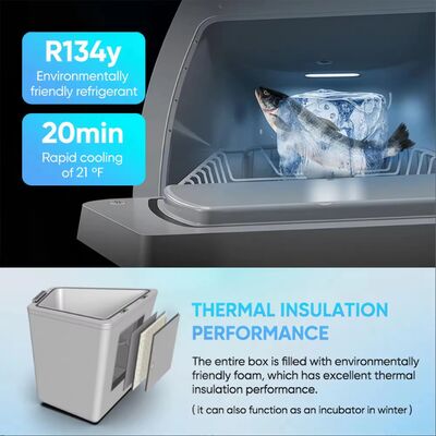 New Y Portable Compact Thermoelectric Vehicle Mini Car Refrigerator for Tesla Model Y 16L Capacity Digital Display for Outdoor