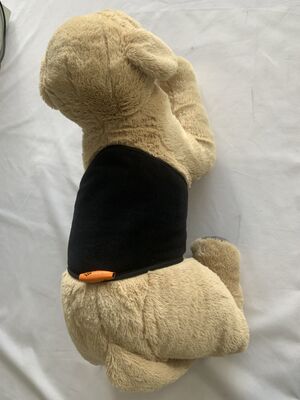 Warm Palace Belt pet waist heating belt designed for daily with flexible fabric and USB charging for pet waist support and warmth