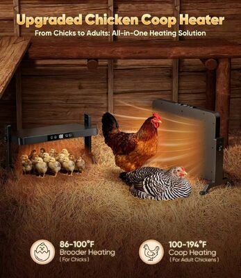Chicken coop heater providing continuous safe heating for up to twelve hours ideal for overnight in chicken coops and breeding spaces