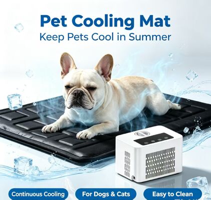 Smart pet bed water cooled mat offers stable long lasting cooling effect reduces pet body temperature and heat discomfort